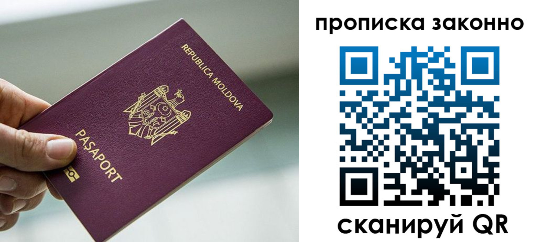 временная регистрация недорого в Полярных Зорях