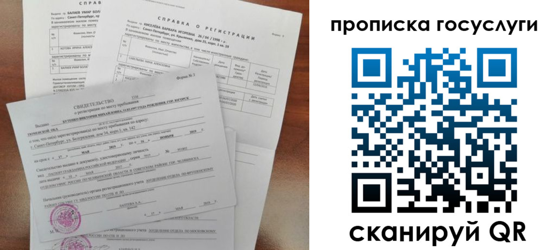 прописка в Полярных Зорях